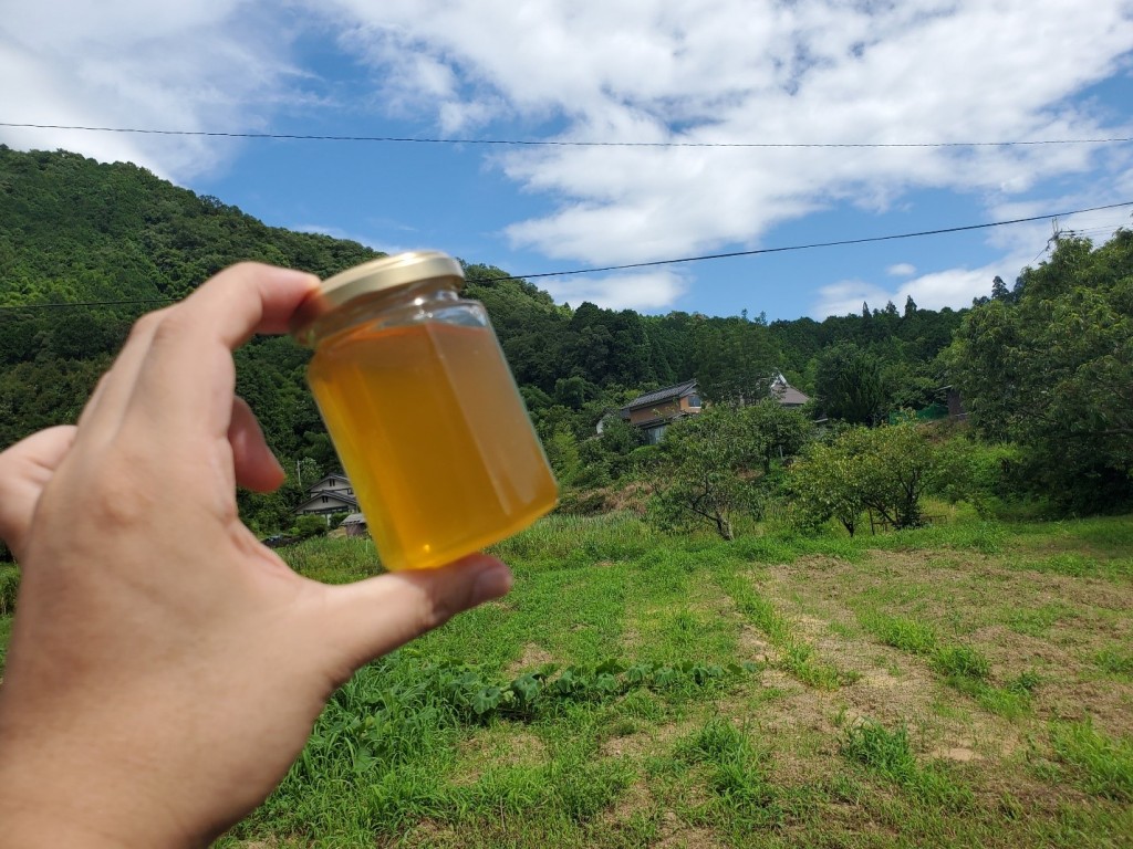 京都採蜜